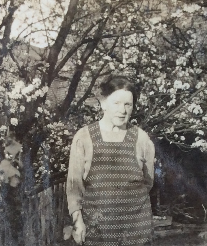 IMG_0584 - Version 2